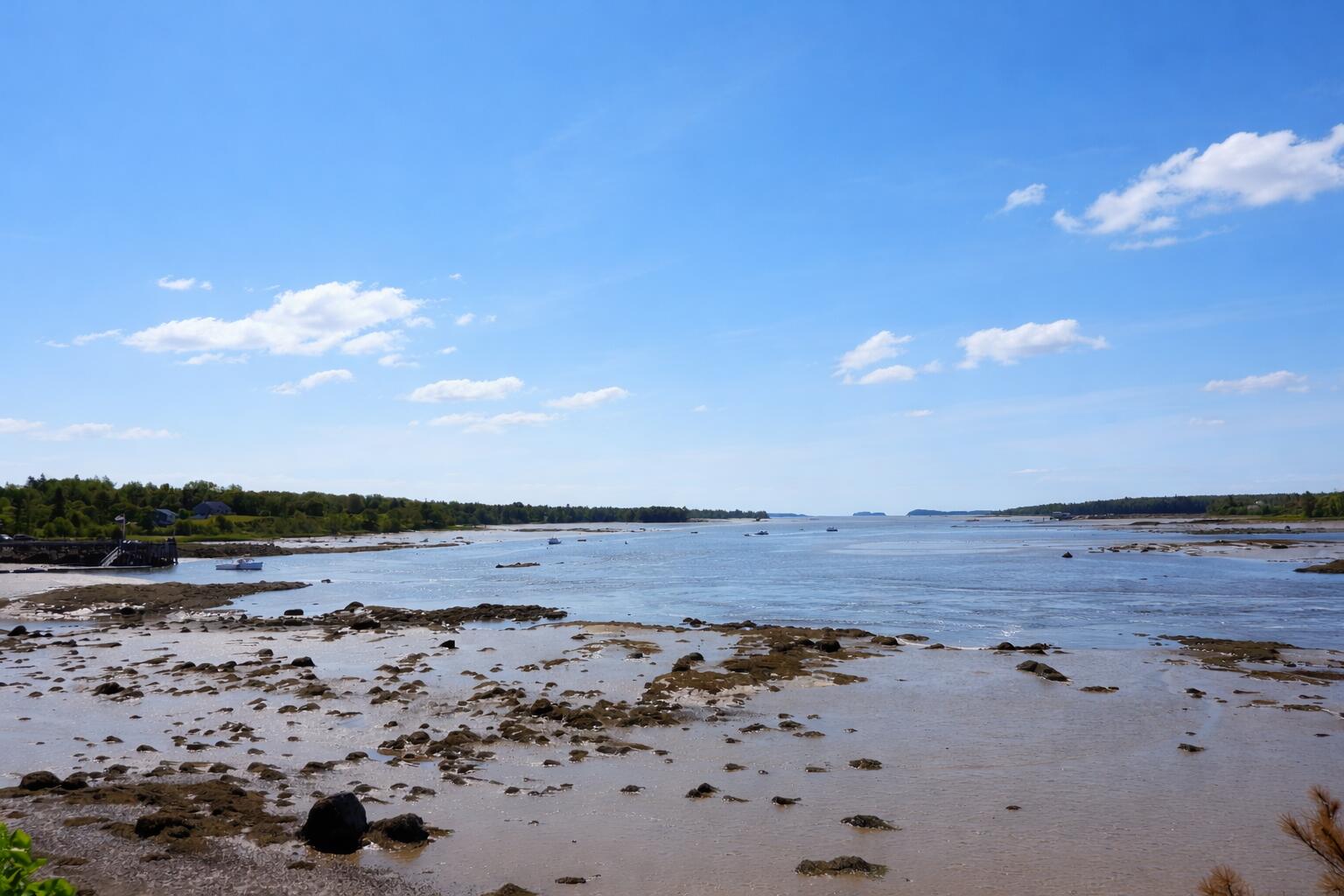 50 Ficketts Point Road Milbridge, ME 04658 - Photo 4 of 24 Ocean near by property