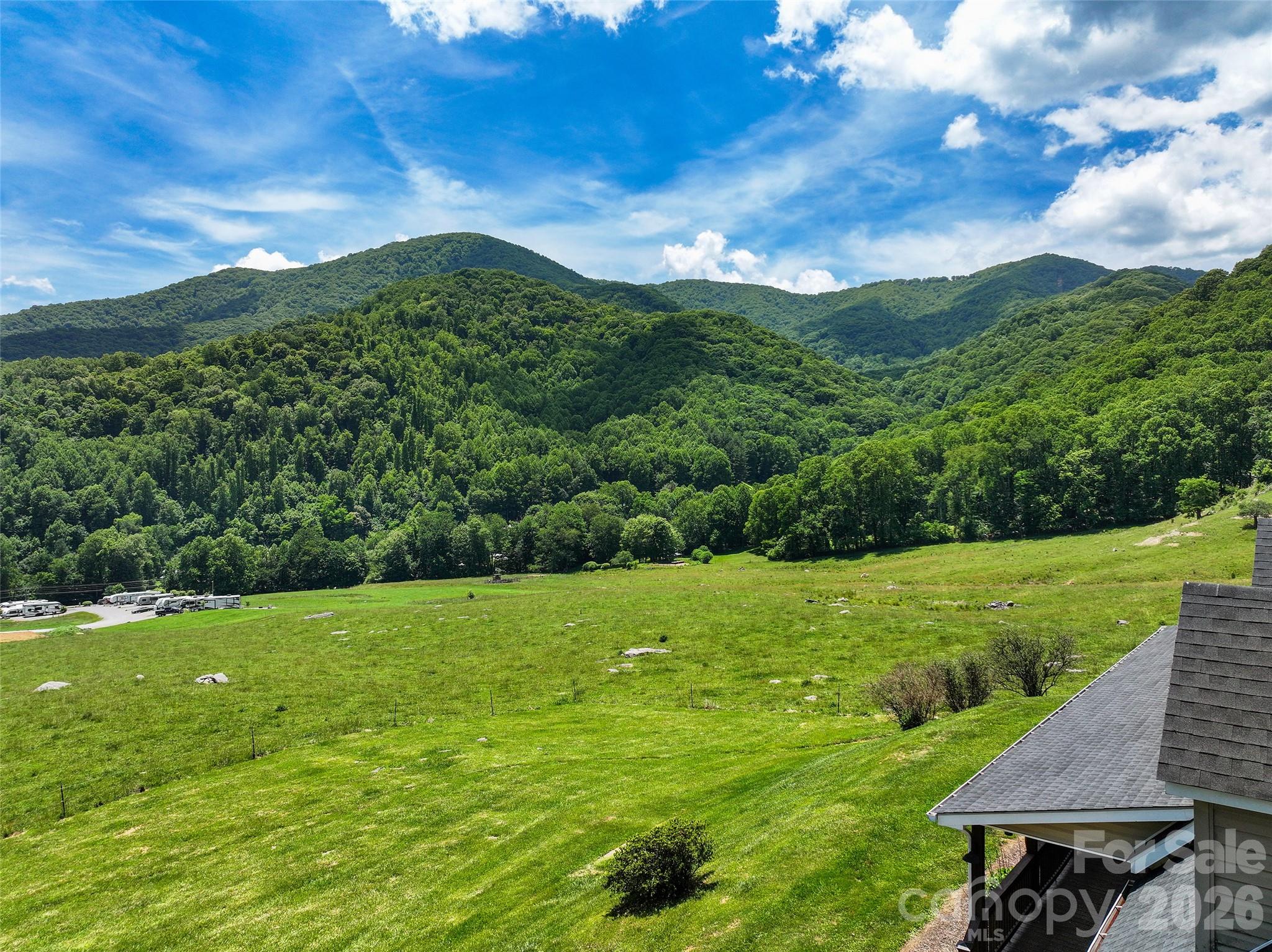 371 Ned Cove Road Waynesville, NC 28785 - Photo 10 of 48