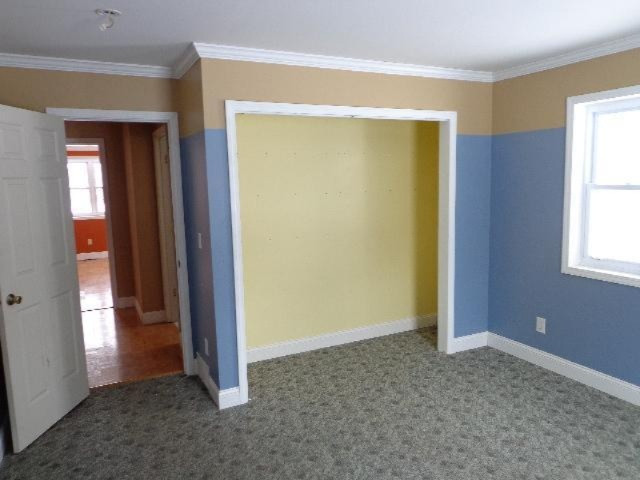 197 Warren Street Freeport, MI 49325 - Photo 11 of 19 Additional Photo