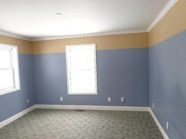 197 Warren Street Freeport, MI 49325 - Photo 12 of 19 Additional Photo