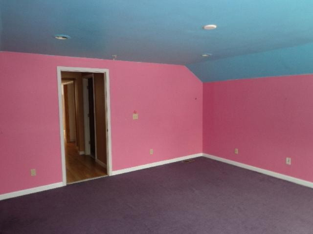197 Warren Street Freeport, MI 49325 - Photo 13 of 19 Additional Photo