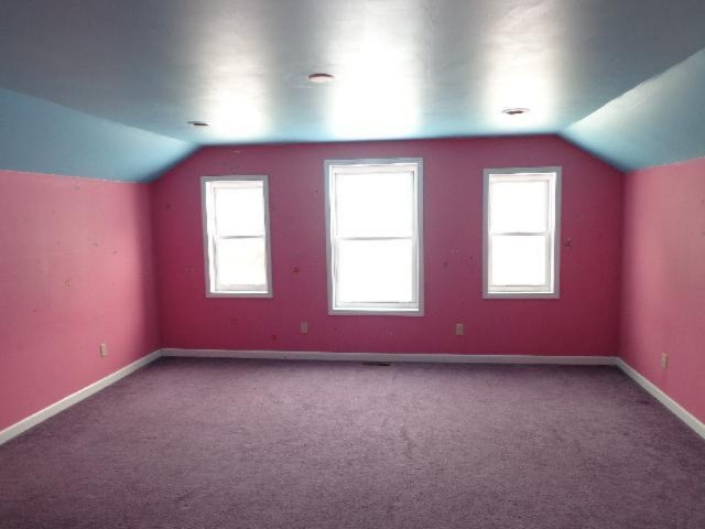 197 Warren Street Freeport, MI 49325 - Photo 14 of 19 Additional Photo