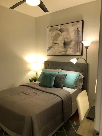 $2,950 | 233 East 13th Street, Unit 2210, Chicago, IL 60605