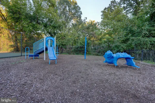 a view of a backyard with large trees
