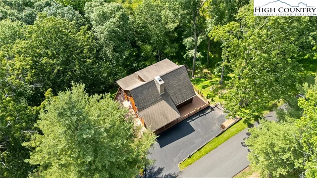 a view of a lush green forest