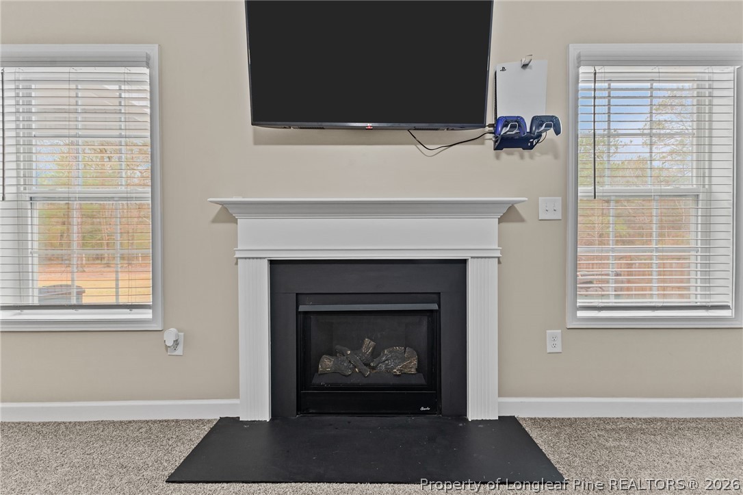 307 Mill Ridge Court Godwin, NC 28344 - Photo 20 of 39