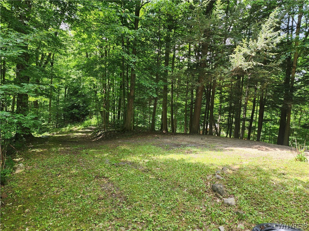 16 Hemlock Road Sheldon, NY 14167 - Photo 25 of 33