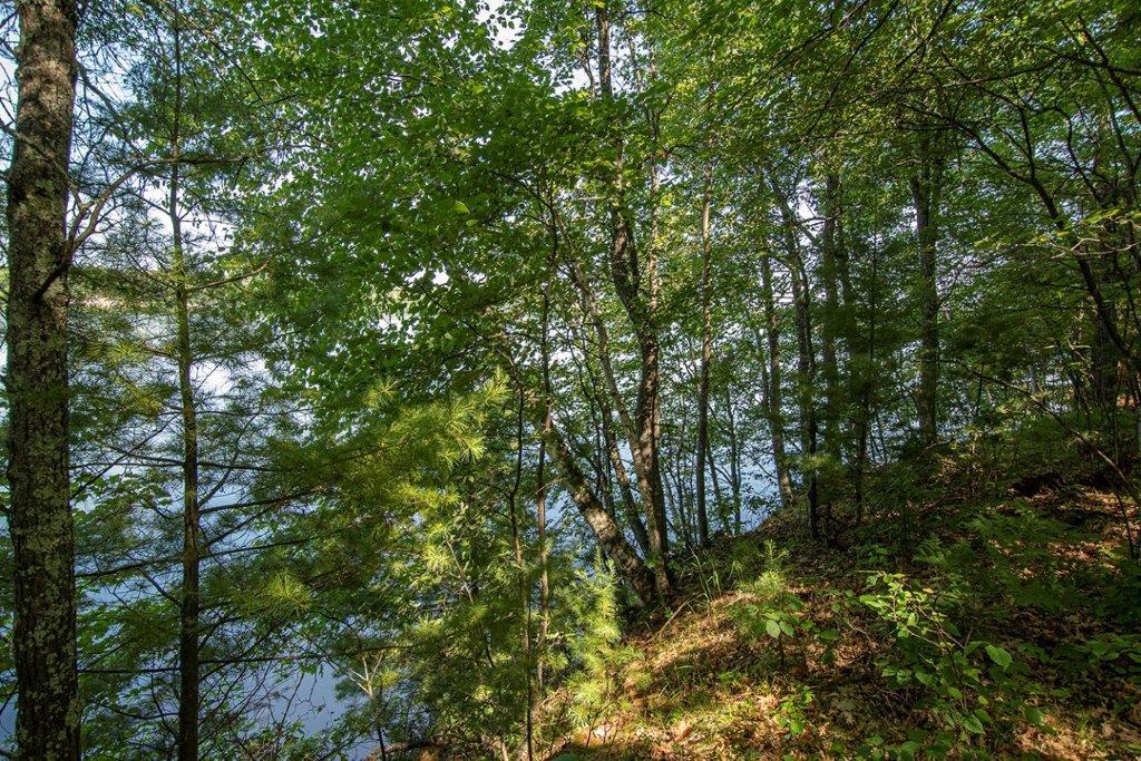 6447 Goose Road Lake Tomahawk, WI 54539 - Photo 15 of 17 Gallery Image 15