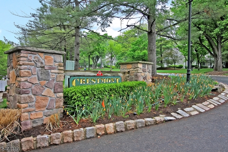 62 Bentley Court Bedminster, NJ 07921 - Photo 2 of 15 a garden view with a seating space