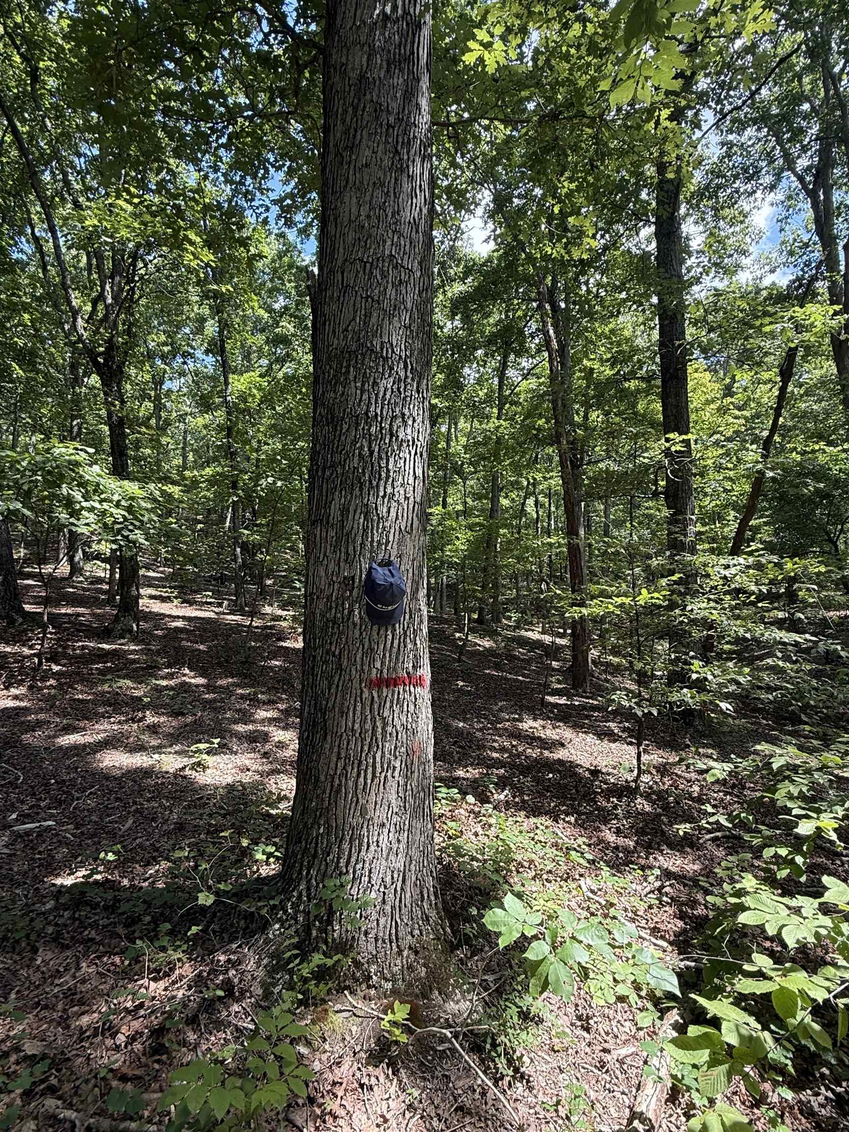 0 Herndon Cemetery Road Big Sandy, TN 38221 - Photo 1 of 17 a backyard of a house with lots of green space
