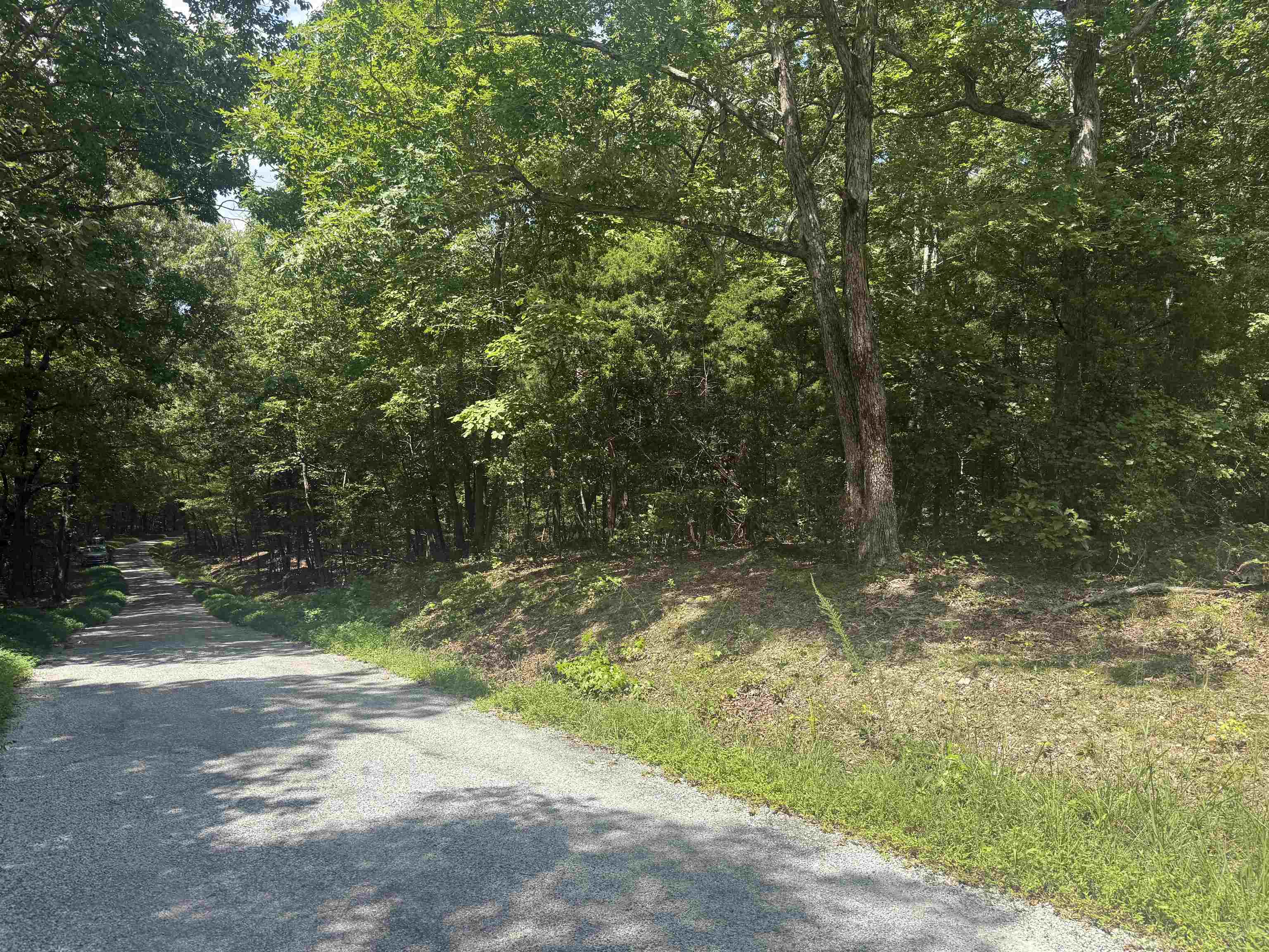0 Herndon Cemetery Road Big Sandy, TN 38221 - Photo 12 of 17 a view of backyard with green space