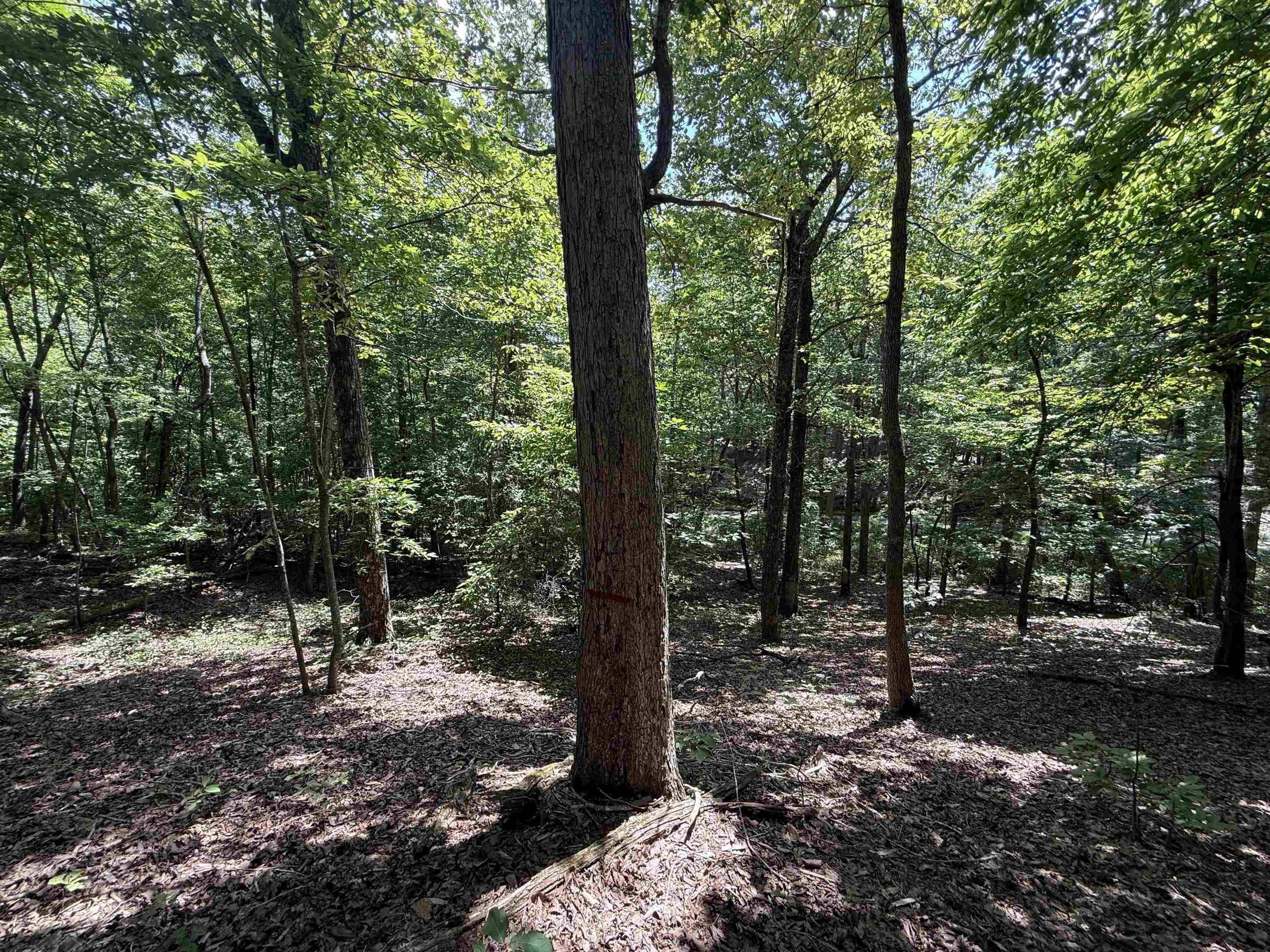 0 Herndon Cemetery Road Big Sandy, TN 38221 - Photo 16 of 17 a view of outdoor space and yard