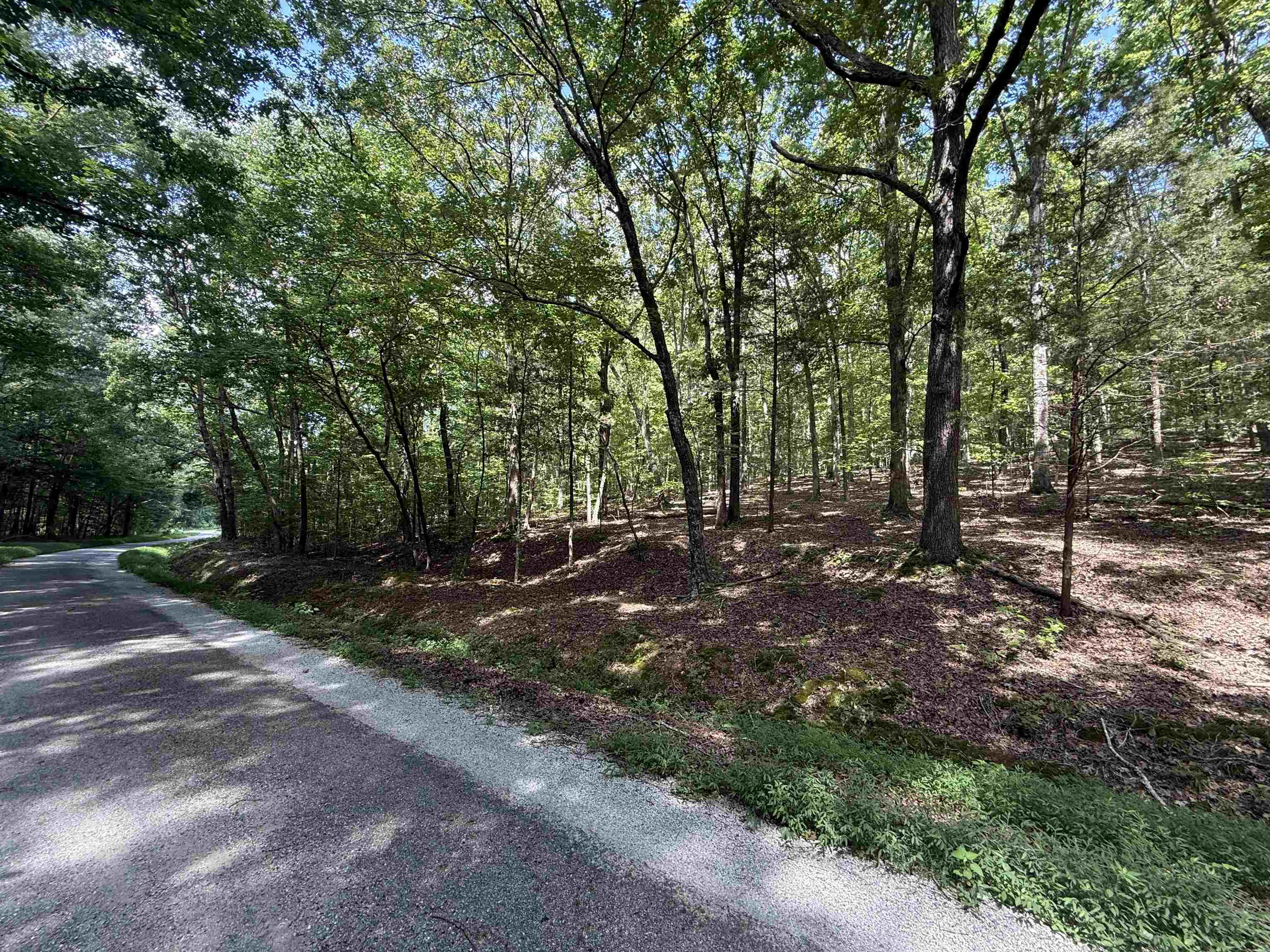 0 Herndon Cemetery Road Big Sandy, TN 38221 - Photo 2 of 17 a view of a forest with trees
