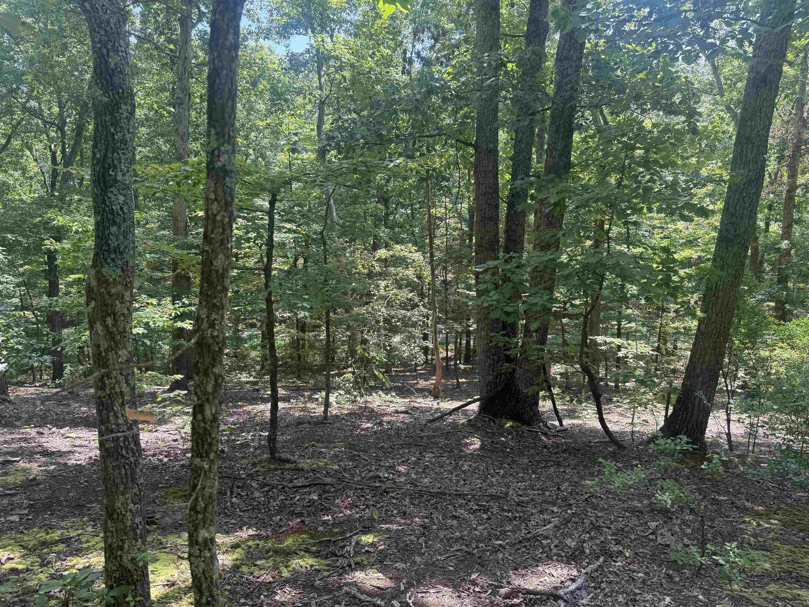 0 Herndon Cemetery Road Big Sandy, TN 38221 - Photo 9 of 17 a view of outdoor space and green space