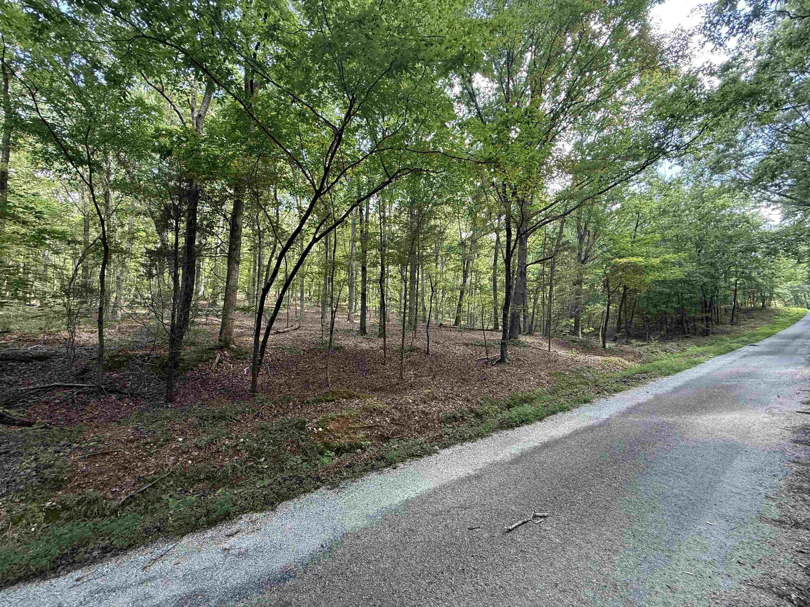 0 Herndon Cemetery Road Big Sandy, TN 38221 - Photo 10 of 17 a view of a forest with trees in the background