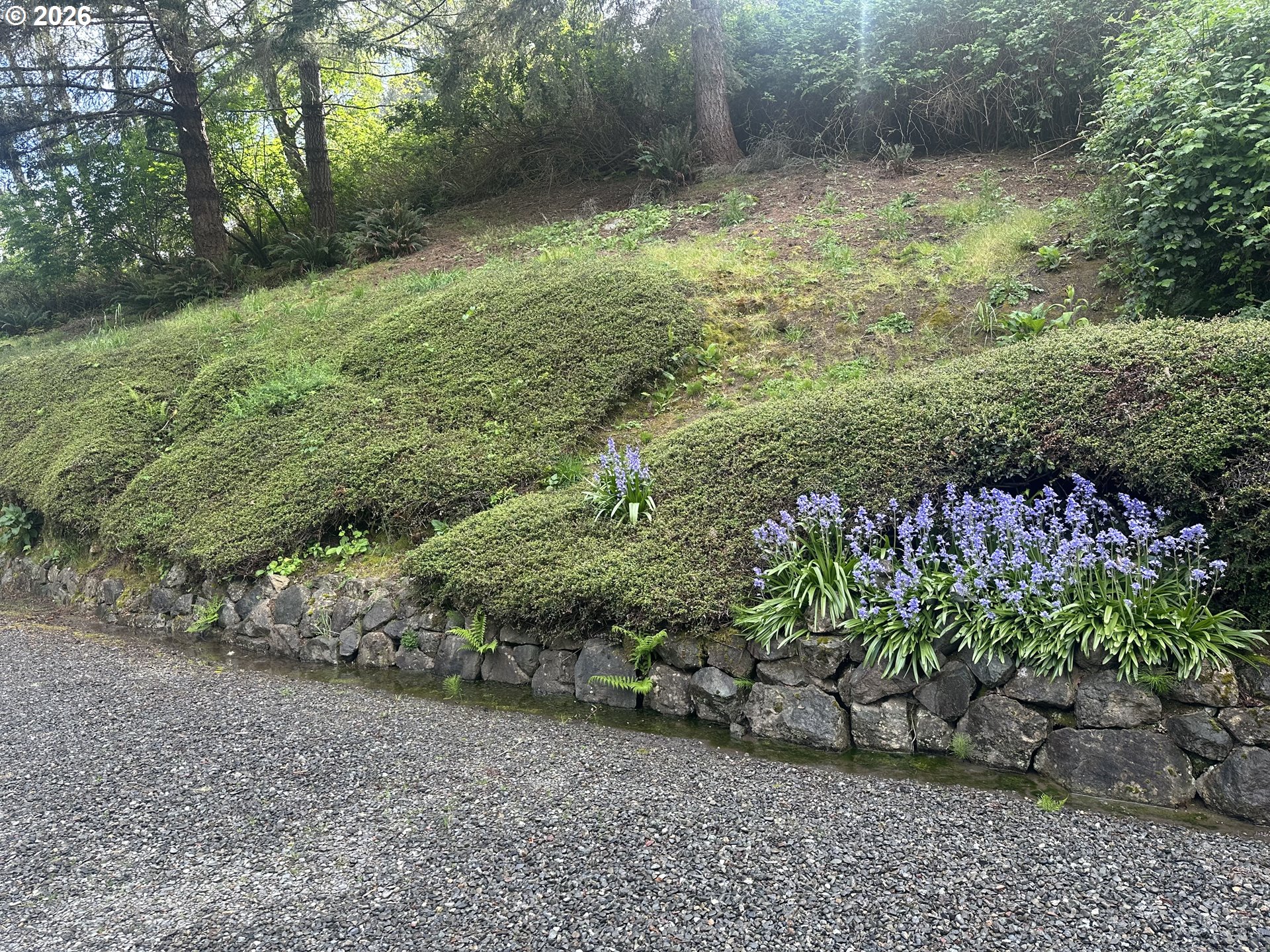 16735 Thompson Road Brookings, OR 97415 - Photo 19 of 23 View