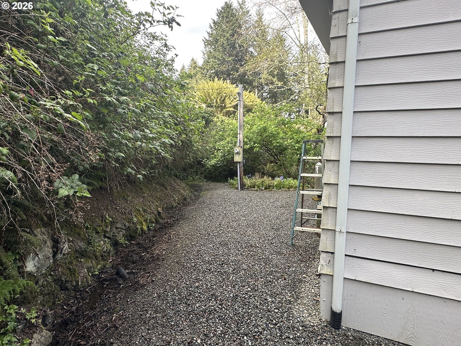 16735 Thompson Road Brookings, OR 97415 - Photo 20 of 23 Yard