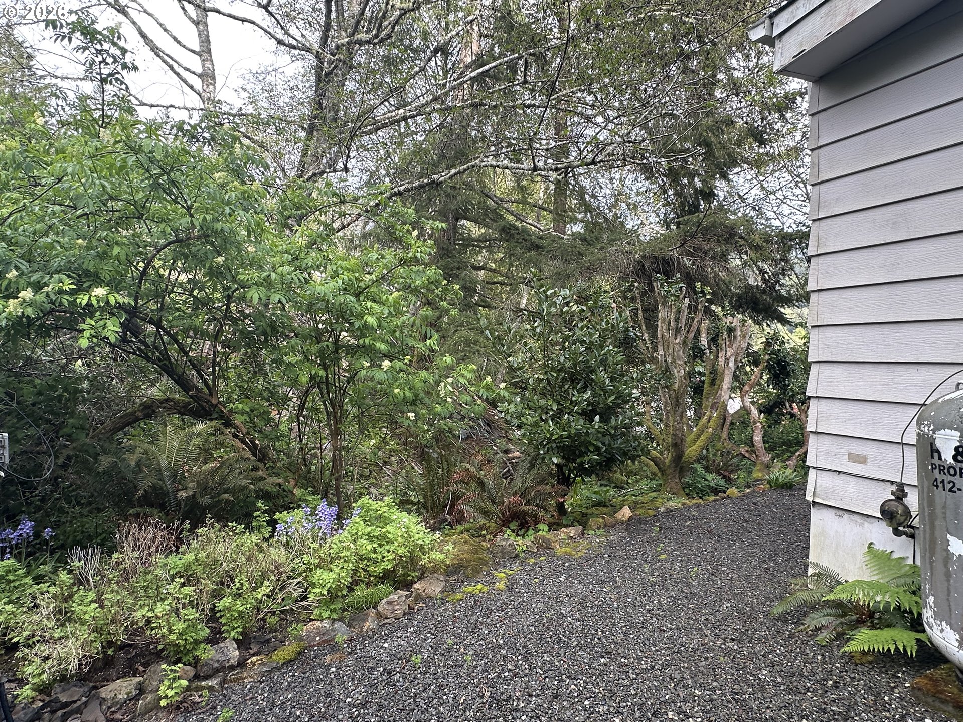 16735 Thompson Road Brookings, OR 97415 - Photo 21 of 23 Yard