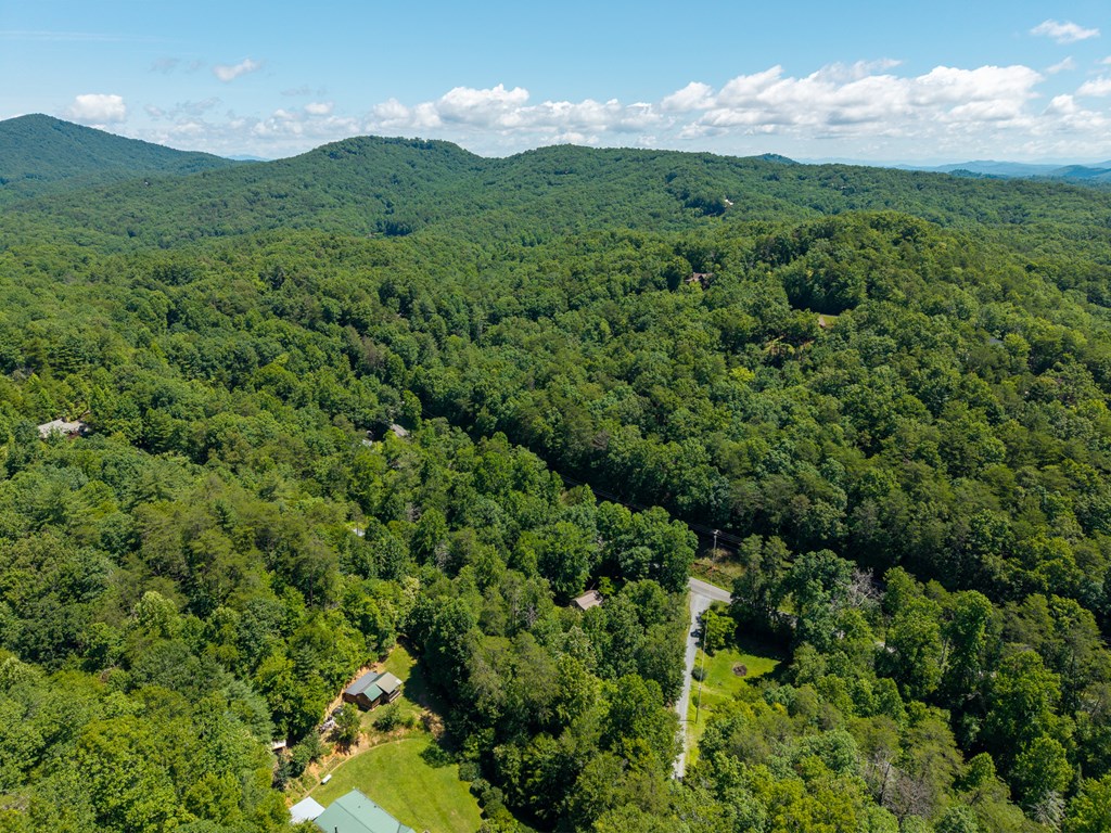 1643 Lucius Road Cherry Log, GA 30522 - Photo 43 of 45