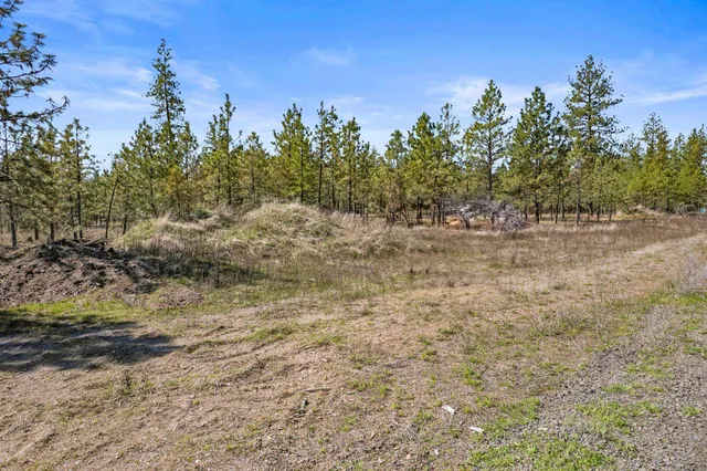 $110,000 | 5742 Corkscrew Canyon Road, Unit LOT #3, Tumtum, WA 99034