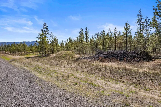 $110,000 | 5742 Corkscrew Canyon Road, Unit LOT #3, Tumtum, WA 99034