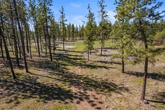 $110,000 | 5742 Corkscrew Canyon Road, Unit LOT #3, Tumtum, WA 99034