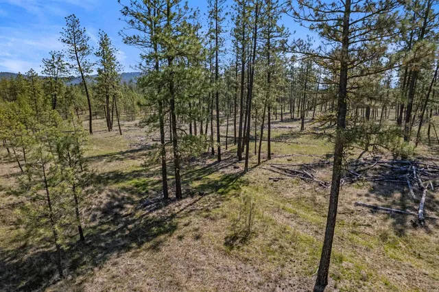 $110,000 | 5742 Corkscrew Canyon Road, Unit LOT #3, Tumtum, WA 99034