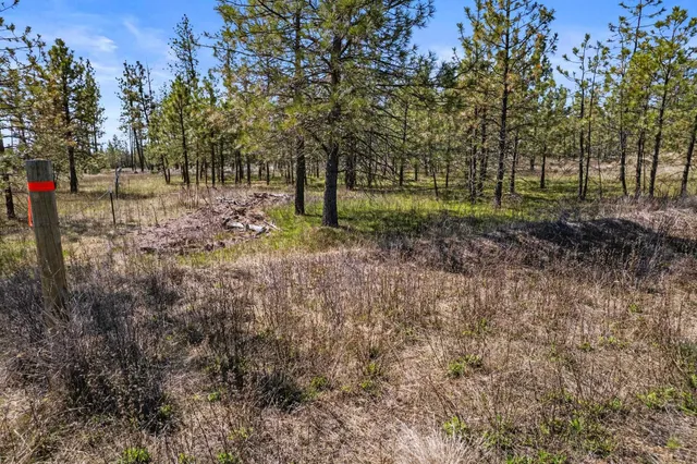 $110,000 | 5742 Corkscrew Canyon Road, Unit LOT #3, Tumtum, WA 99034