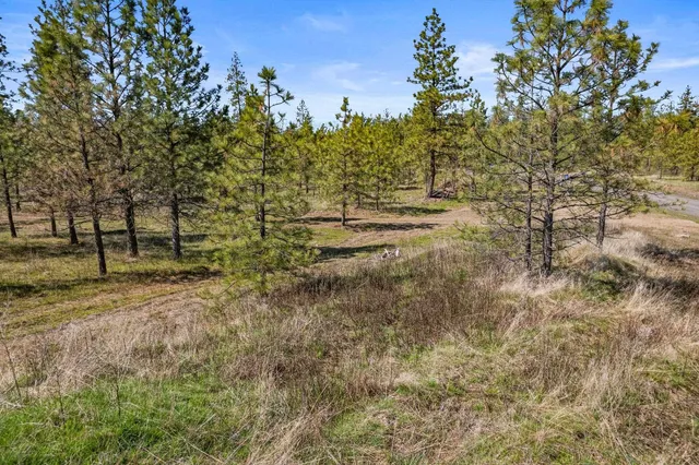 $110,000 | 5742 Corkscrew Canyon Road, Unit LOT #3, Tumtum, WA 99034