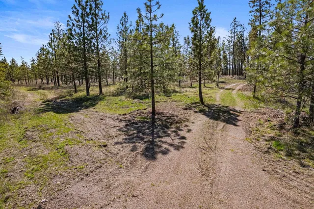 $110,000 | 5742 Corkscrew Canyon Road, Unit LOT #3, Tumtum, WA 99034