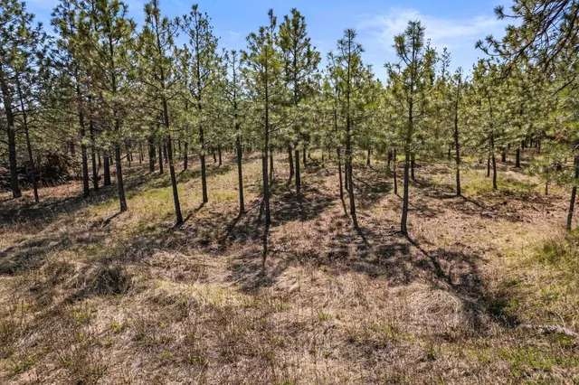 $110,000 | 5742 Corkscrew Canyon Road, Unit LOT #3, Tumtum, WA 99034