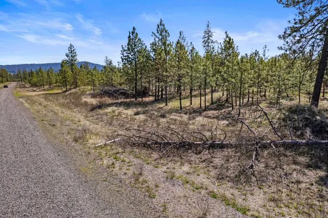 $110,000 | 5742 Corkscrew Canyon Road, Unit LOT #3, Tumtum, WA 99034