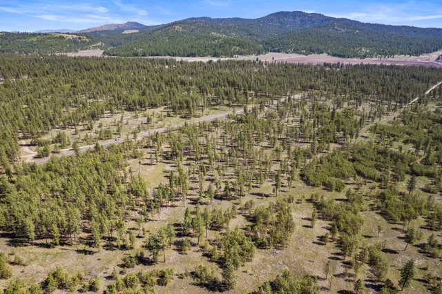 $110,000 | 5742 Corkscrew Canyon Road, Unit LOT #3, Tumtum, WA 99034