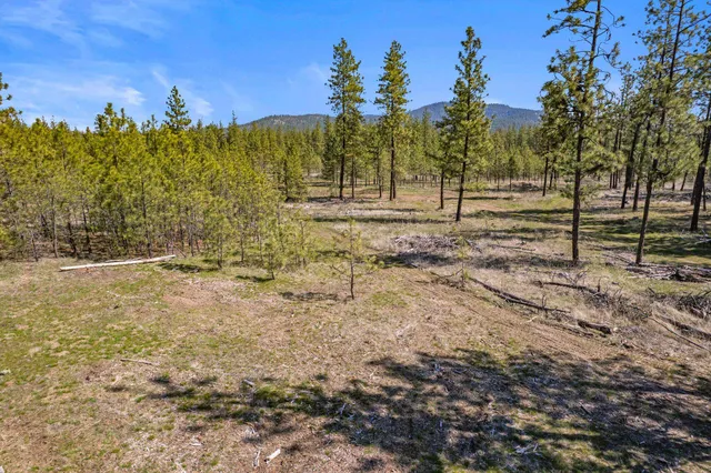 $110,000 | 5742 Corkscrew Canyon Road, Unit LOT #3, Tumtum, WA 99034