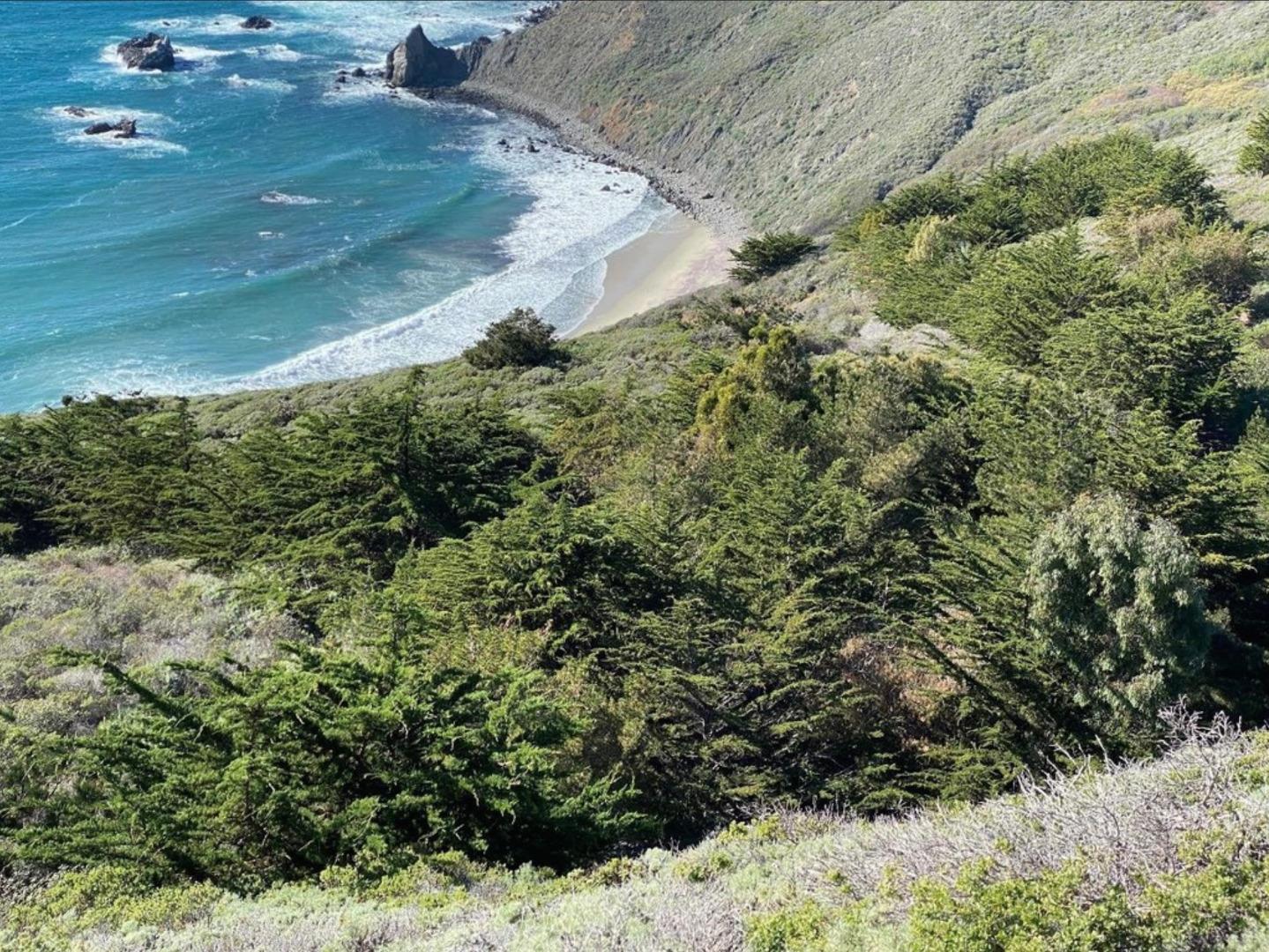 Clear Ridge Road Big Sur, CA 93920 - Photo 22 of 25 a view of a yard with plants