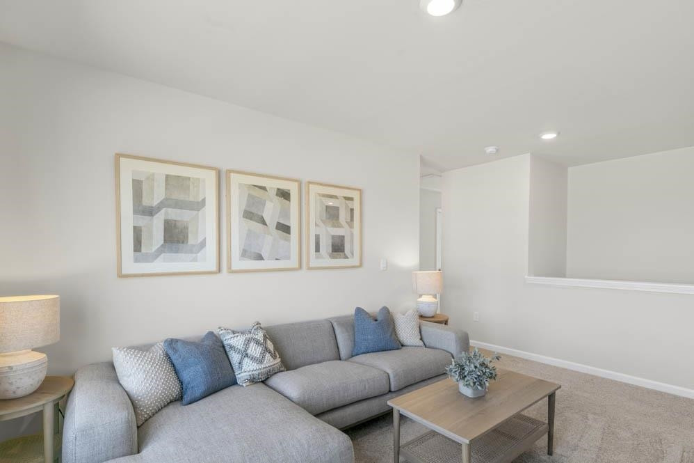 1000 Octans Way Wendell, NC 27591 - Photo 14 of 41 a living room with furniture and a potted plant