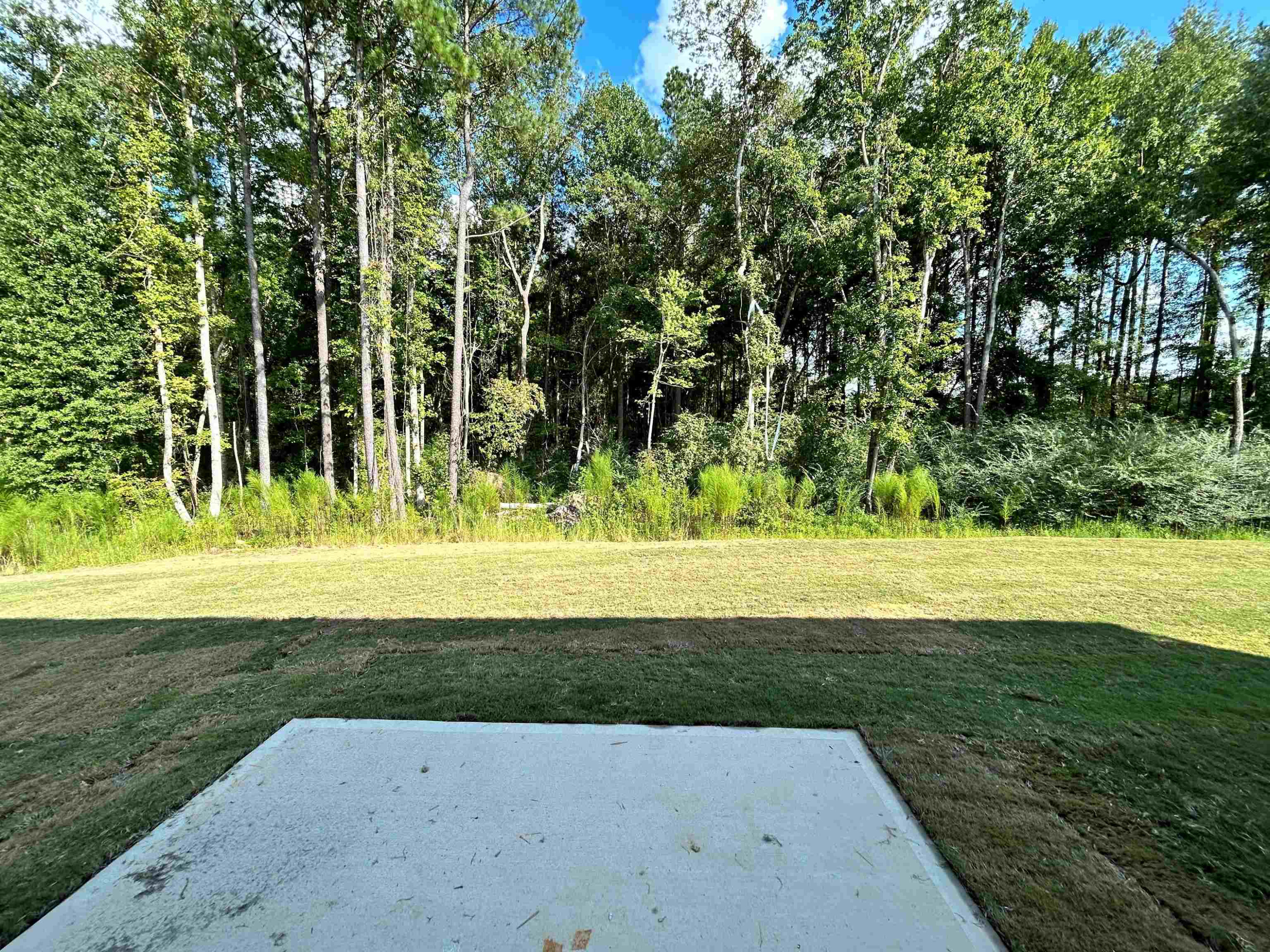 1000 Octans Way Wendell, NC 27591 - Photo 32 of 41 a view of a yard with an trees