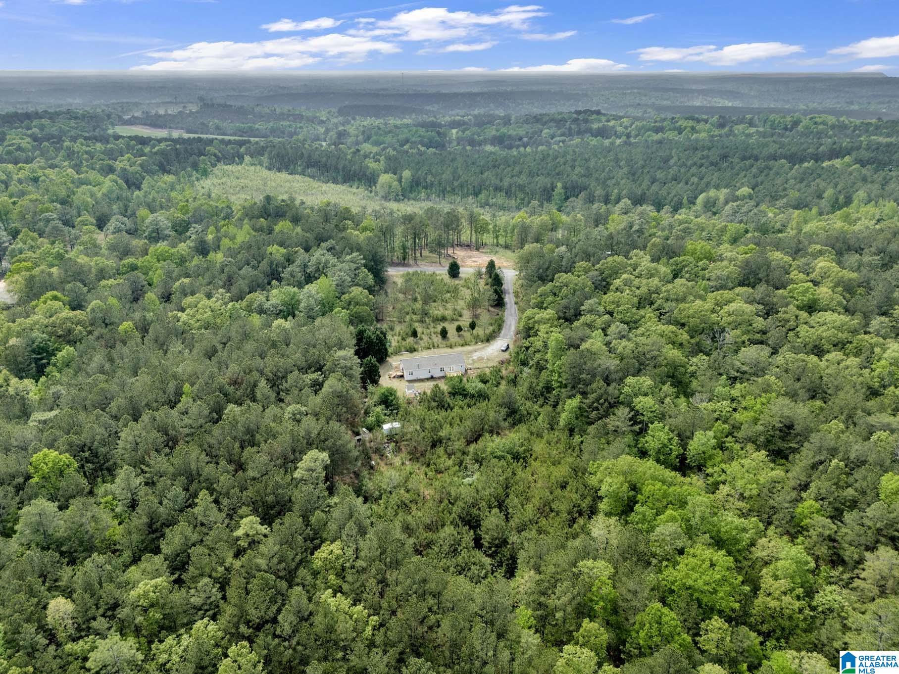 4634 Old Pineywoods Road Jasper, AL 35504 - Photo 31 of 33