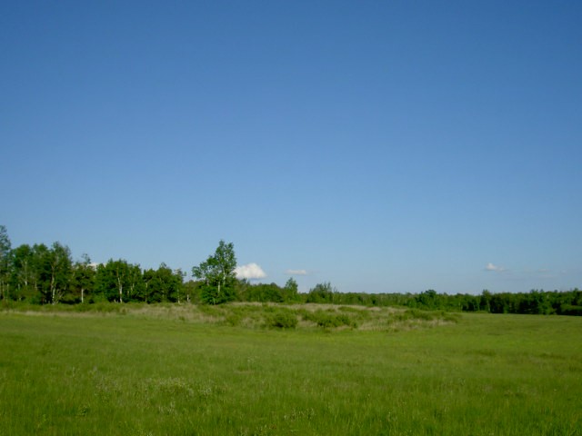 Xxx Jackson Road Askov, MN 55704 - Photo 4 of 5 Gallery Image 4