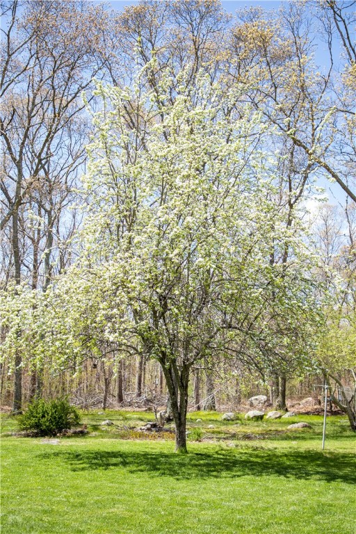 140 S Road South Kingstown, RI 02879 - Photo 33 of 34 Gallery Image 33