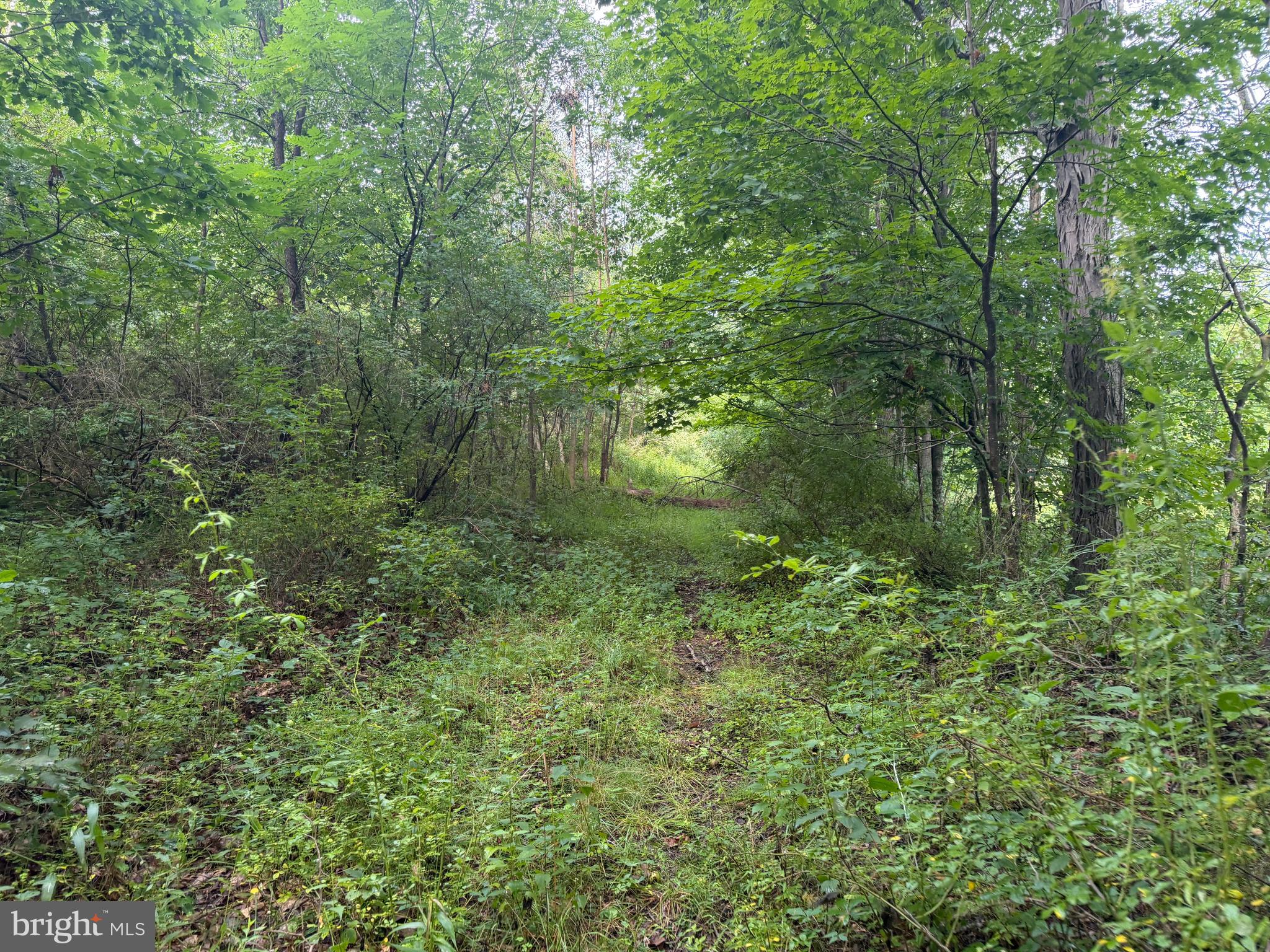 107-acres Schenck Road Wells Tannery, PA 16691 - Photo 55 of 73 Gallery Image 55