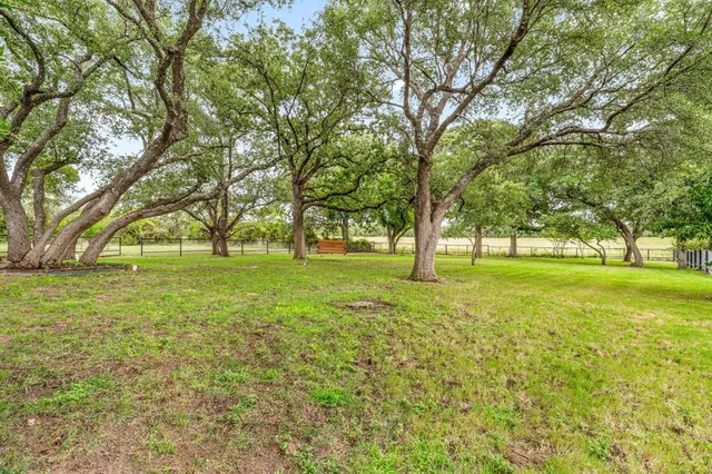 a huge green field with lots of trees