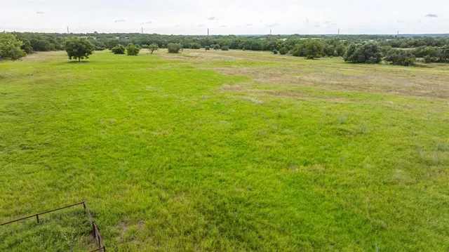 a view of a field with an trees