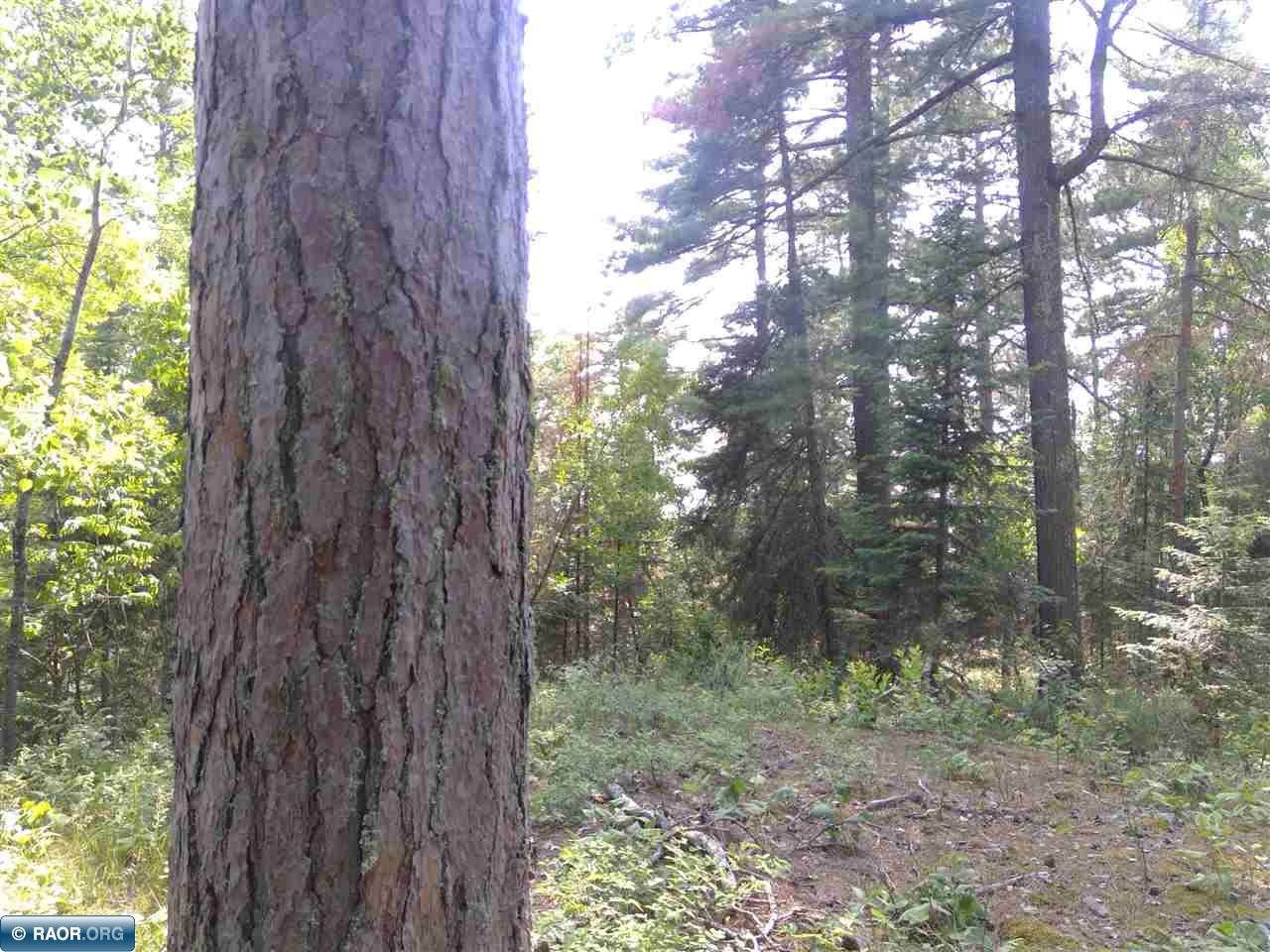 5312 Mud Creek Road Tower, MN 55790 - Photo 25 of 31 Gallery Image 25