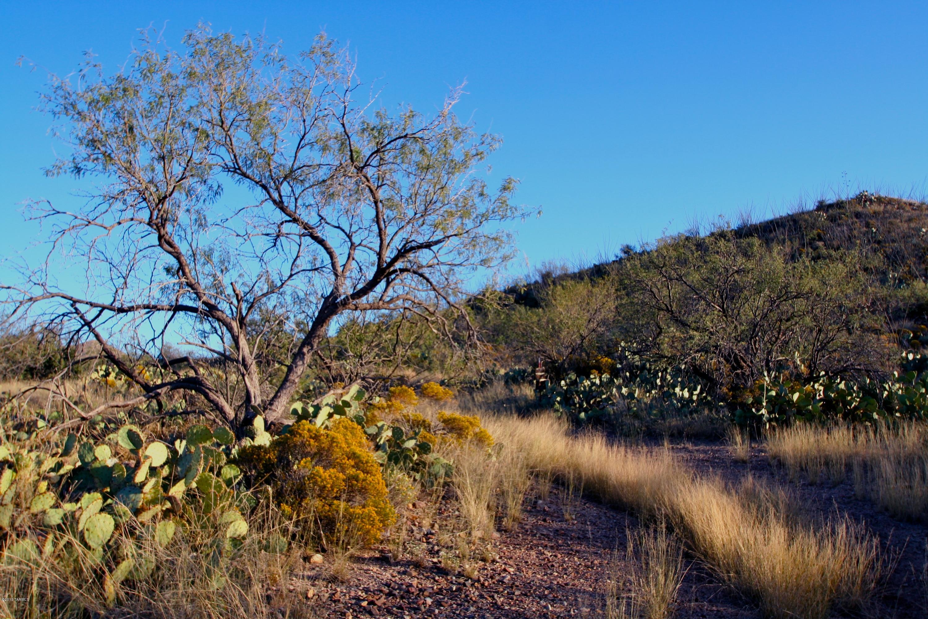 South Little Fawn Vail, AZ 85641 - Photo 6 of 12