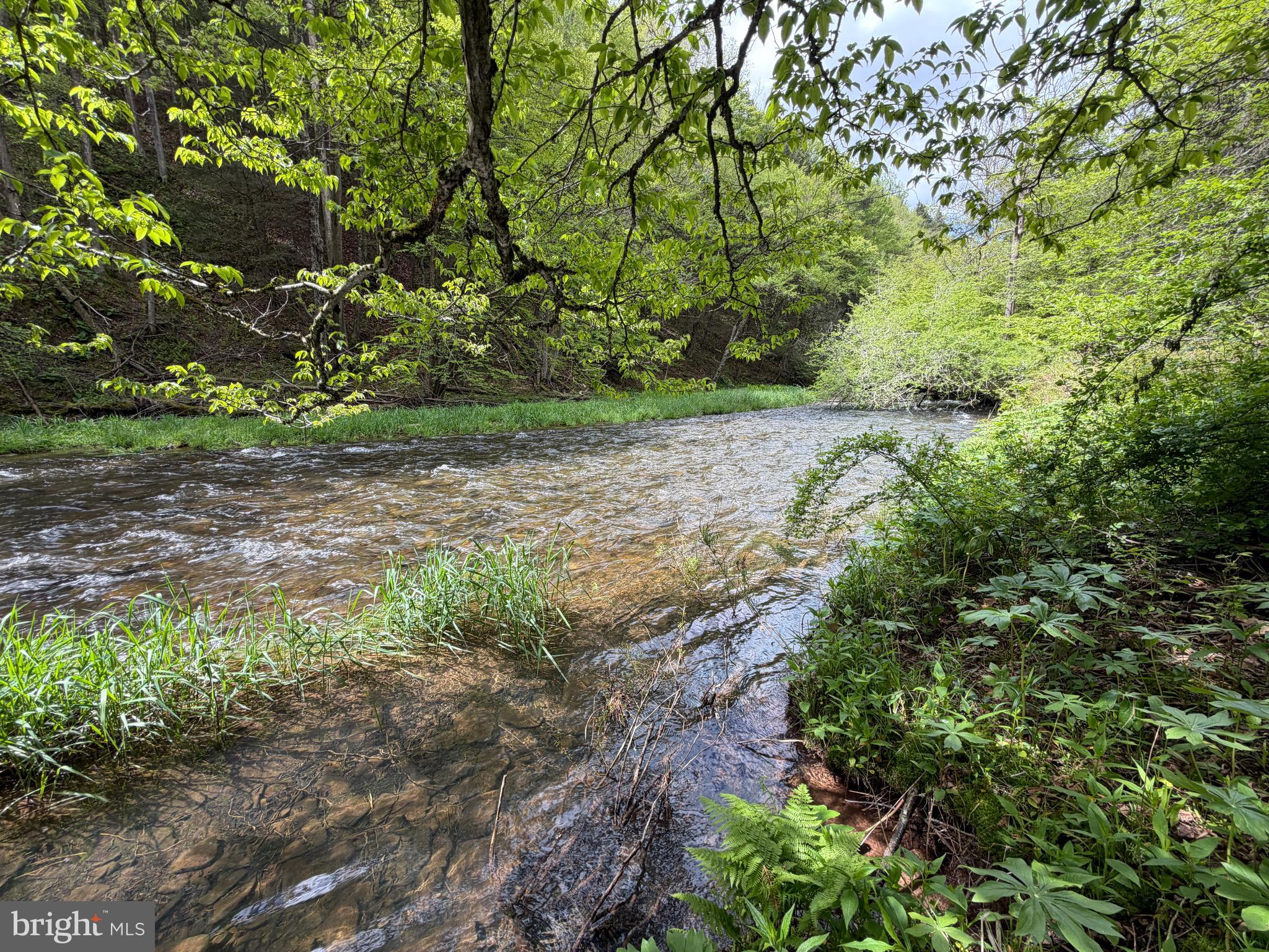 1227 Cross Fork Creek Road Cross Fork, PA 17729 - Photo 92 of 139