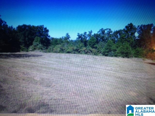13611 Lay Springs Road Gadsden, AL 35904 - Photo 30 of 34