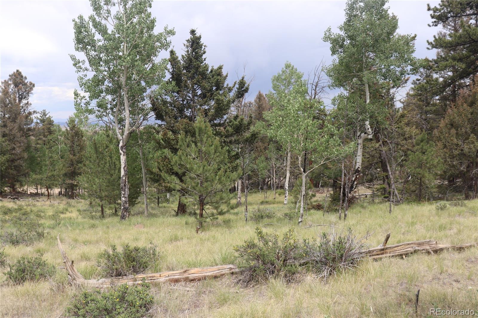 1931 Bellows Road Hartsel, CO 80449 - Photo 1 of 15 a view of a yard