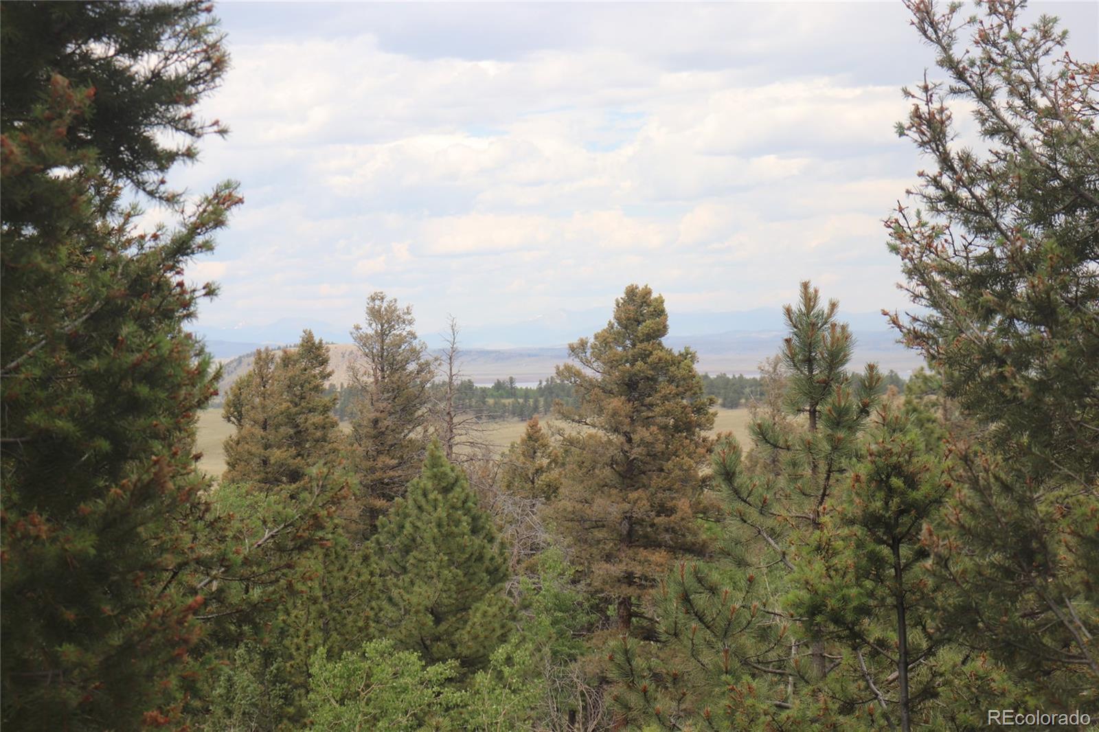 1931 Bellows Road Hartsel, CO 80449 - Photo 6 of 15 a view of a large trees with in the background