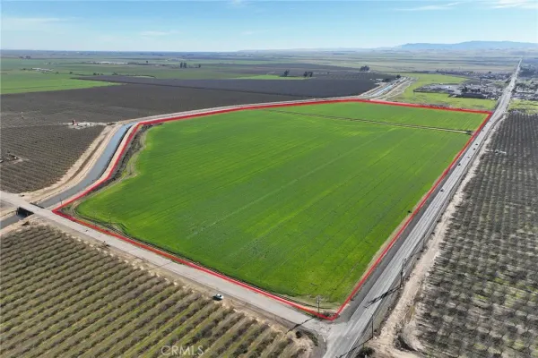 a green field with lots of trees in the background